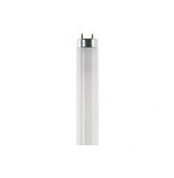 LAMPADA BL TRIFOSFORO L361TN T836W/865 6500K B08LX7RX5M