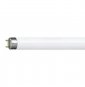 LAMPADA PH MASTER TL-D SUPER 8036W COOLDAYLIGHT LF3686 B08LW69K4J