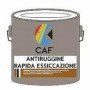 ANTIRUGGINE RAPIDA ESSICAZIONE LT.0,5 GRIGIO B07WVXQXH9