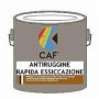 ANTIRUGGINE RAPIDA ESSICAZIONE LT.2,5 GRIGIO B08LR3W4YR