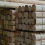 Trave abete uso trieste16x16 mt.6