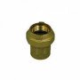 DRITTO FEMMINA OTTONE PER POLIETILENE D.40X11/4 B08WYF29P6