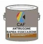 ANTIRUGGINE RAPIDA ESSICAZIONE LT.0,5 GRIGIO B07WVXQXH9