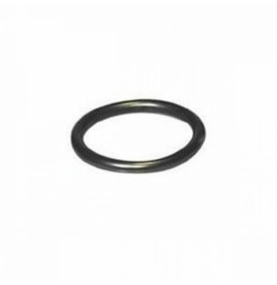 GUARNIZIONE O-RING OTTONE PER POLIETILENE D.20 B08WYJ3KL5