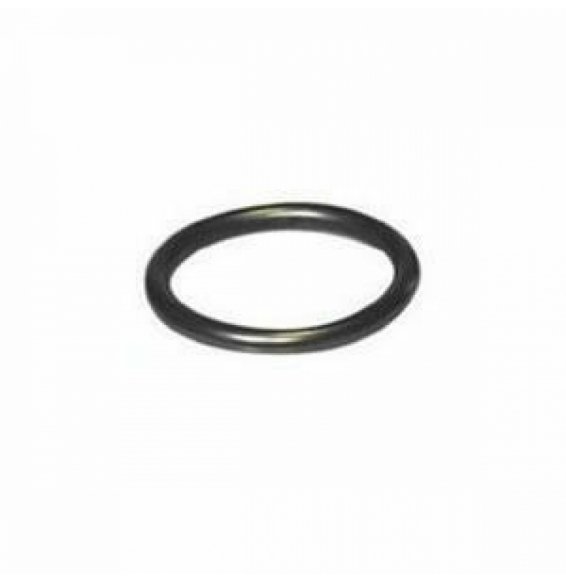 GUARNIZIONE O-RING OTTONE PER POLIETILENE D.25 B08WYPX8RG