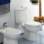 EUROPA BIDET MONOFORO 36,5X55 BIANCO B08XBB7R1L